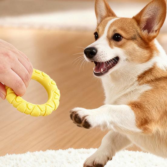 Pet Chew Toy TPR Material Tug-of-War Interactive Training Teeth Dog Chew Ring Bite-Resistant Medium Large Dogs Safe Chew Toy