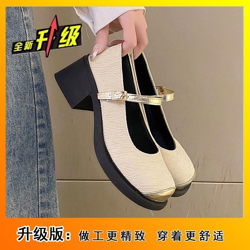 Thick Heel with Skirt High Heels 2025 Autumn New Fashion High Sense Small Fragrant French Retro Mary Jane Single Shoes