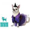 Fioletowy Strój Czarownicy dla Psa