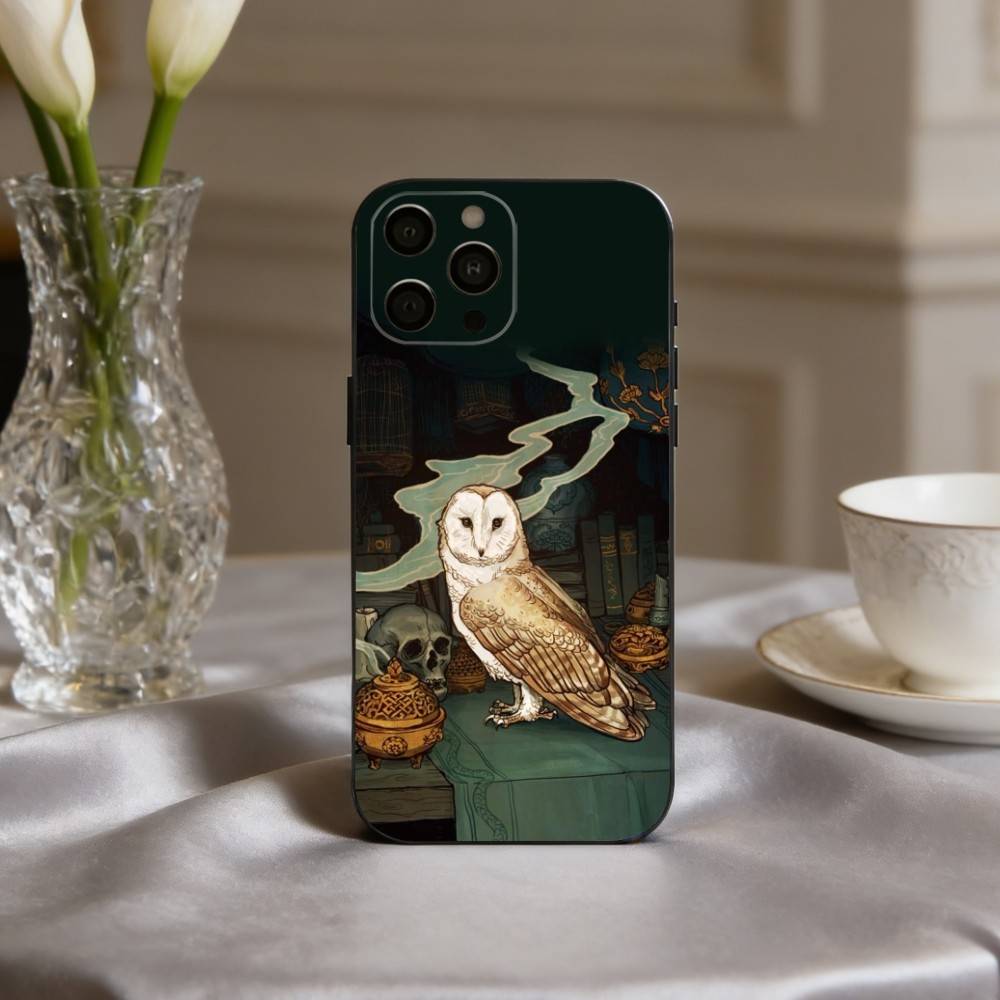 Cute Owl Art Phone Case For iPhone 17pro, 16,15,14,13,12,11 X XR Plus,Others Soft Black Cover