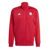 Mens 2024/2025 FC Bayern Munich Recycled Polyester Track Top