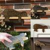 Charming Wooden Bear Door Topper As Corner Sculpture Decor In Home Or Office Decoration New Year Decorative Figurines Ornament