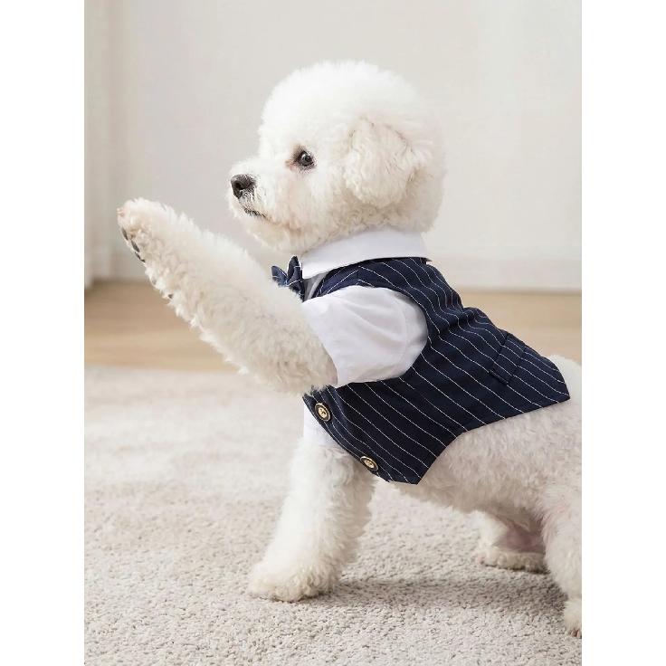 Polyester Haustierkleidung Teddy Hundekleidung Frühling Sommer Haustierjacke Katzenkleidung Weinrot Marineblau Schwarz Hundemantel mit einer Fliege
