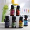 10ML Car Perfume Refill Air Freshener Natural Plant Essential Oil Aroma Diffuser Fragrance Humidifier Essential Oil Freshener