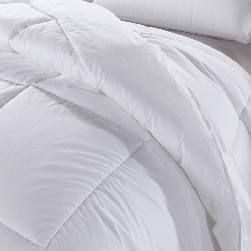 SUISLEEP Brushed Microfiber Winter Fiber Quilt