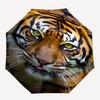 Tiger Face Themed Automatic Opening and Closing Umbrella, Brightly Colored 8-rib Portable Umbrella, Suitable for Men and Women, A Perfect Gi