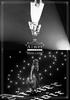 Aimer Live In Budokan “blanc Et Noir” (regular Edition) (Blu-ray Disc)