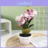 Fivehead Phalaenopsis Artificial Potted Plant For Indoor Decor And Photography Scenes