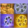 Luzes de Fio de Cobre com Controle Remoto Para Decoração de Jardim Externo