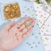 150Pcs 304 Stainless Steel Stud Earring Findings, with 150Pcs 304 Stainless Steel Ear Nuts, Flat Round, Real 24K Gold Plated, 12x8x0.3mm, Pin: 0.8mm