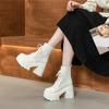 11cm Fashion Women's Cool Boots Summer Mesh Surface Thick Sole Boots for Women Chunky Heel Platform Ankle Boots Botas Para Mujer