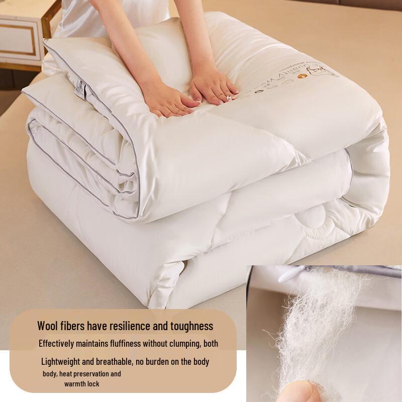 Thickened Warm Duvet Insert