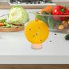 1-5PCS Ball Fruit Fly Catcher Pest Control Sticky Traps 8.2cm Wasp Bee Insect Trap Gnat Traps For Indoor Outdoor Kitchen Plants