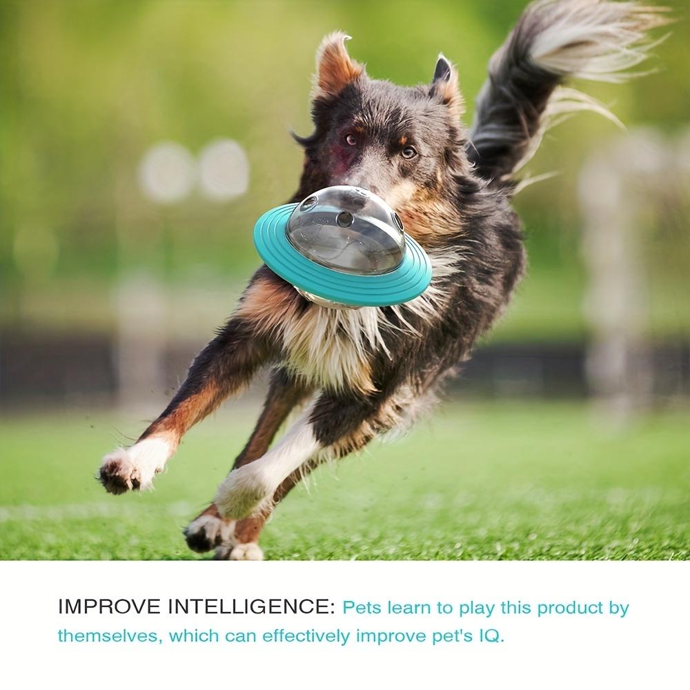 Kaufe Interaktives Hundespielzeug zur Futterausgabe und Zahnreinigung   langlebiges und bissfestes Flugscheibenspielzeug fr Hunde  perfekt zur  Bereicherung zum Preis ab 3.3 | Joom