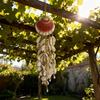 White Seashell Wind Chimes: Colorful Beach Hut Decorations, Suitable for Patio Decorations, Balcony Hanging Outdoor Ornament