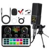 F998 Type-C Sound Card & Microphone Set for Live Broadcasts and Podcasts