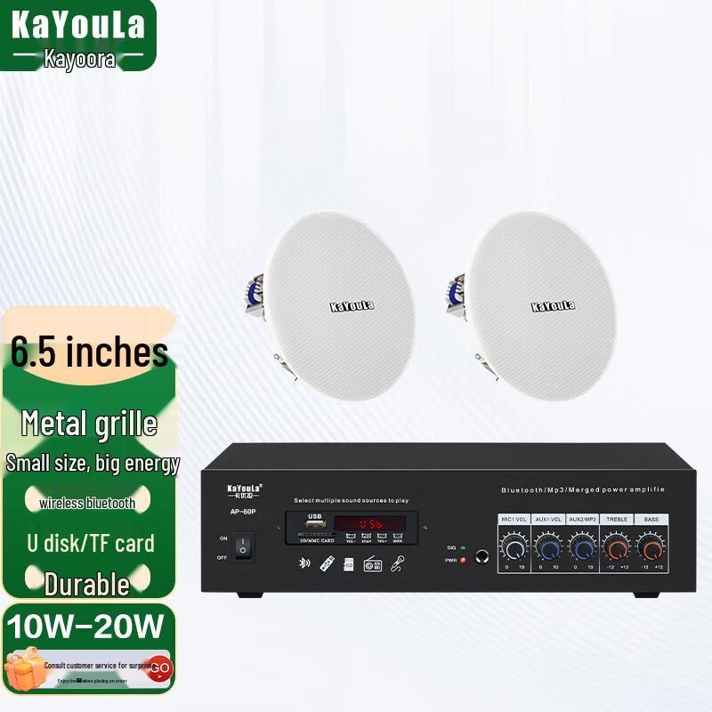 Kayoula Ceiling Speaker Home Theater System (CN version)