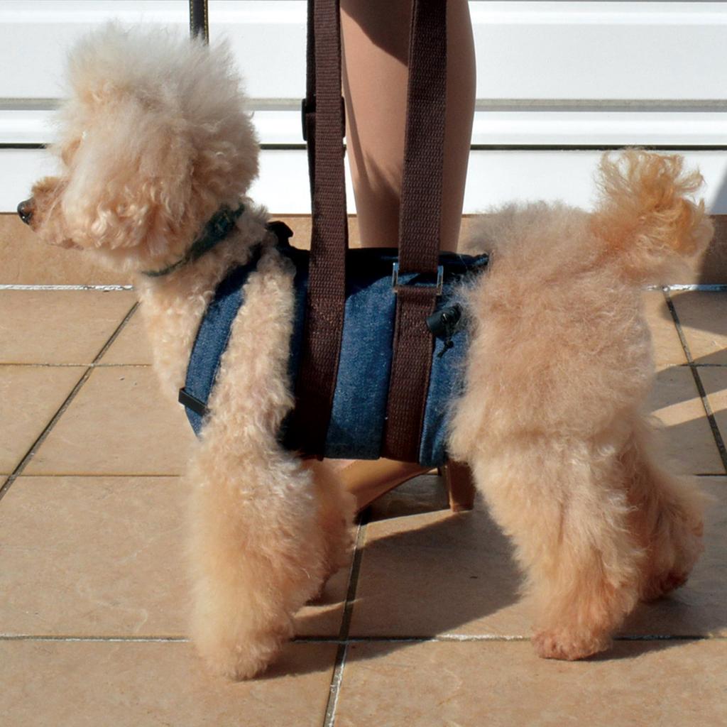 RURU PET Dog Care Harness Denim Assists dogs with weakened legs and hips in walking and toileting Walk-Wan - (M-Short)