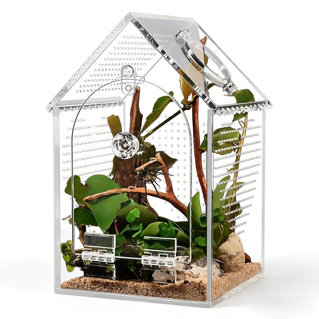 Clear Acrylic Reptiles Terrarium Breading Box With Removable Top Lid Ventilation Hole 12x12x20cm For Science Experiment