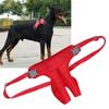 Honden – Hondenproducten
