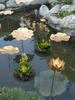 Floating Pond Decoration Fun Lifelike Resin Animal Statue Garden Floating Decoration