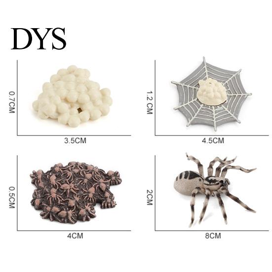 4Pcs/5Pcs Frog Tarantula Butterfly Bee Animal Growth Observation Model Toys