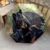 1PC Black Bears Automatic Umbrella - Suitable Travel Outdoor Portable Umbrella Birthday Gift Daily Essentials