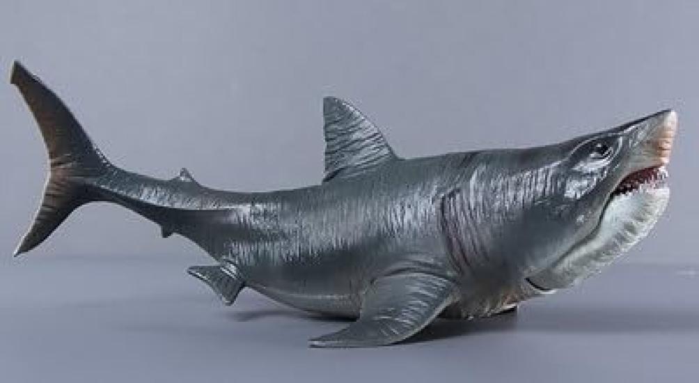 SanDoll Dinosaur Figure Realistic Model Jurassic 30cm Reptile Carnivore Kids Toy Gift Display (Megalodon)