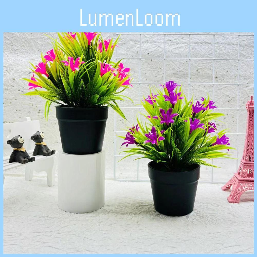 Small Orchid Plant Plastics Potted Plant Window Dressing For Hotel Decor