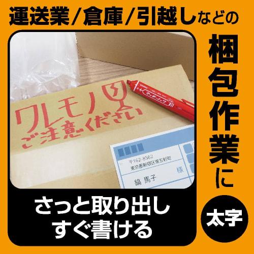 ZEBRA Oil-based Pen Mackinnock Bold Red 10 Pieces B-P-YYSB6-R