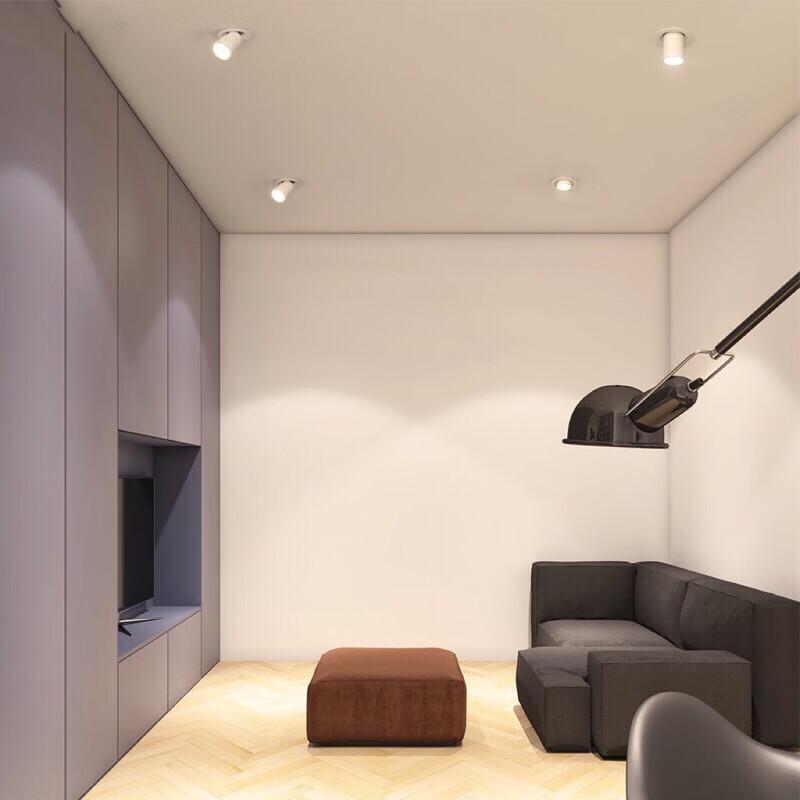 Oeny Retractable Spotlight