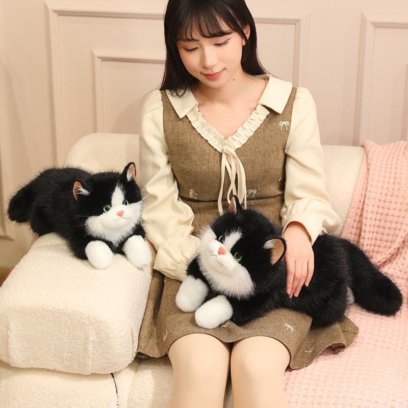 Peluche Gatto Ragdoll Morbido Realistico Soffice Accogliente Sdraiato Gatto Animale Domestico Bambola Gatto Gatto Gattino Bambola Calda Rassicurante Kawaii Decorazione per la Casa