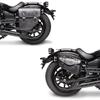 Saddlebag Set Soaddle + Saddle S8