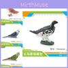Figurine uimitoare și vibrante din PVC cu păsări, inclusiv papagali colorați, bufnițe și cinteze pentru expunere