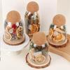 Xibi Transparent Glass Storage Jar for Coffee Beans and Grains