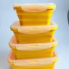 Foldable Outdoor Silicone Cooler Lunch Box - Heat Resistant, Food Grade, Sealed for Freshness