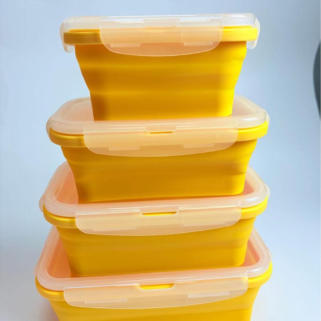 Foldable Outdoor Silicone Cooler Lunch Box - Heat Resistant, Food Grade, Sealed for Freshness