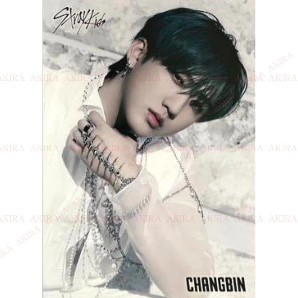 Stray Kids JAPAN GIANT ALBUM POB LUCKY DRAW PHOTO CARD OFFICIAL TR HMV SONY