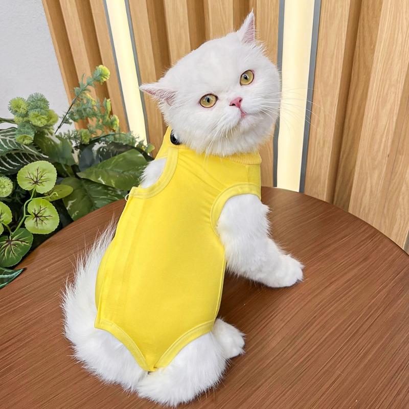 Pet Cat Clothing, Anti-licking and Anti-biting Soft and Super Elastic British Shorthair Blue Cat Hairless