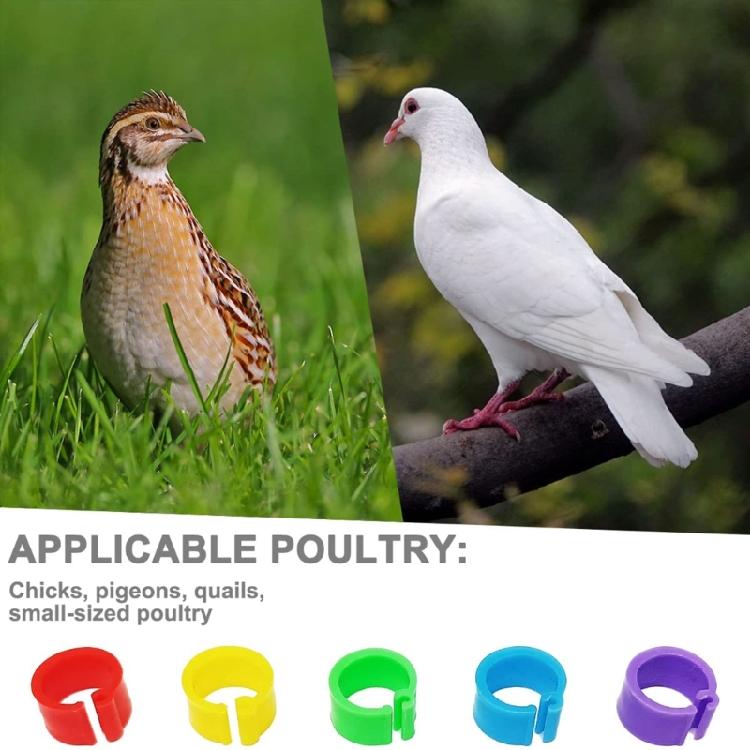 200Pcs Bird Leg Rings, Foot Round Clip for Bantams Duck 8mm Leg Bands for Chicks