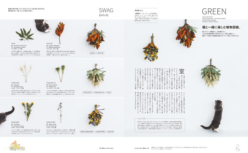 Casa BRUTUS Special Cats and Houses HOUSE MOOK Extra Edition (MAGAZINE Issue)