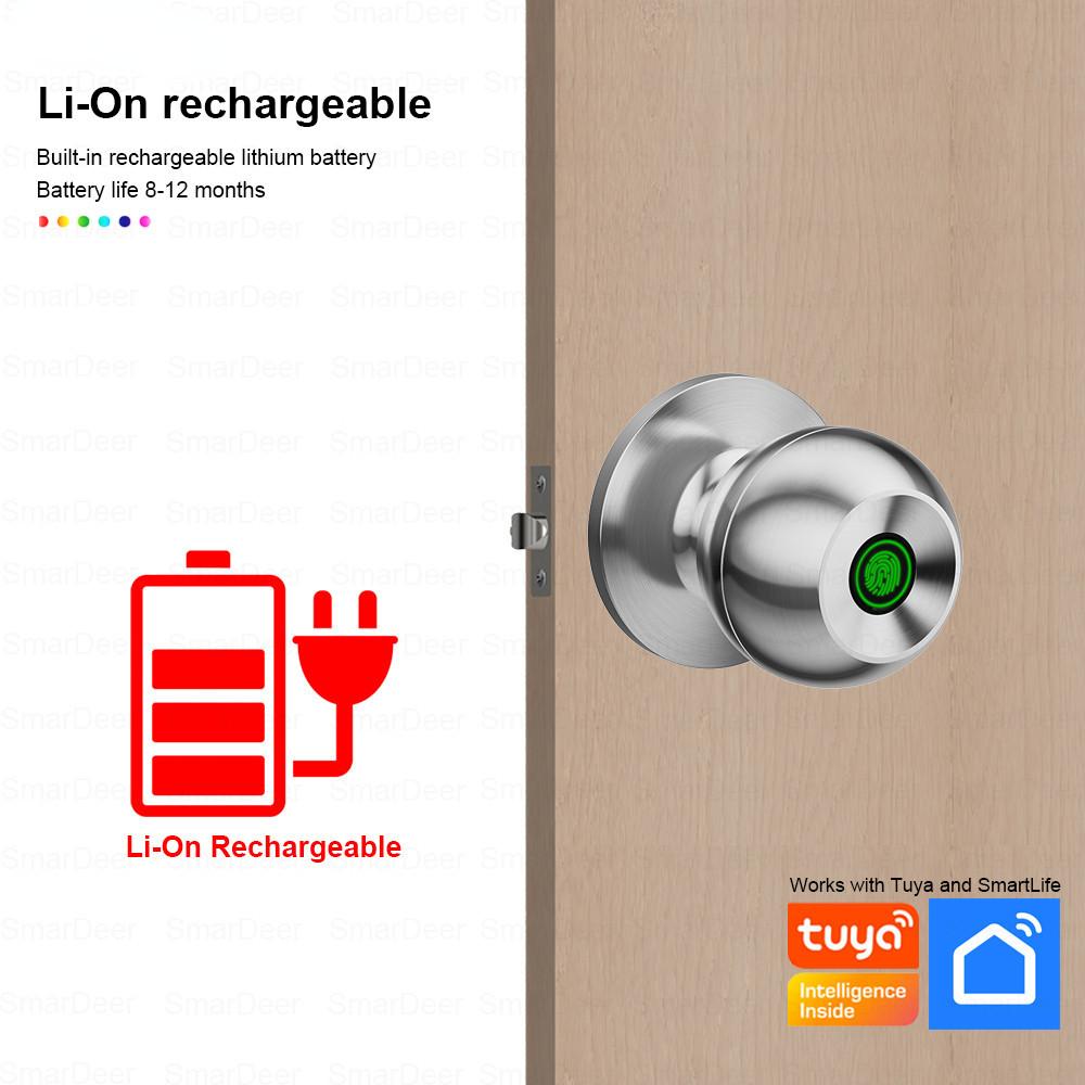 3-in-1 Keyless Entry Bluetooth Door Lock Multi-function Smart Lock Electronic Fingerprint Lock