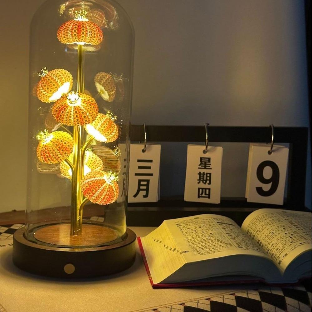 Handcrafted Sea Urchin Shell Night Light - Natural Real Urchin Lamp with Glass Dome Wooden Base, Warm LED Coastal Table Lamp