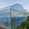 Luohua Mandu Thickened Agricultural Plastic Sheeting