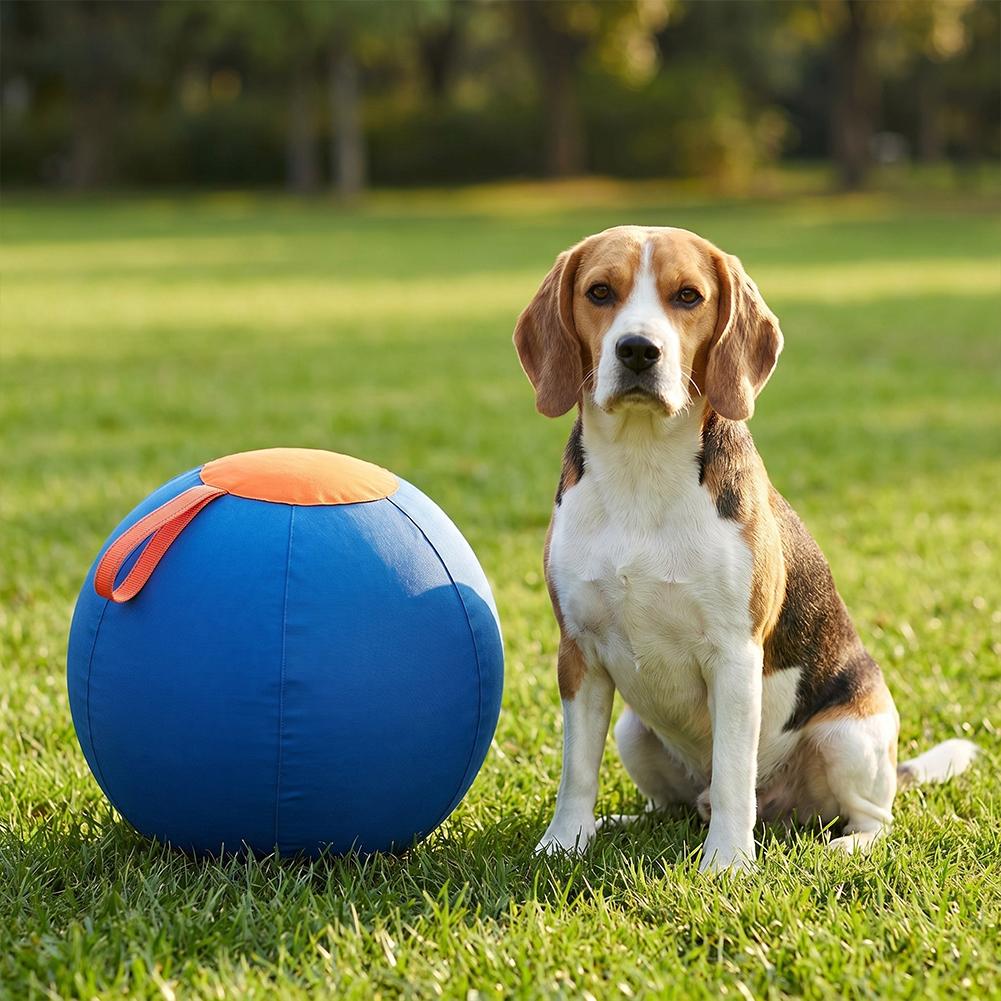 Palla Rinforzata Resistente di Alta Qualità per Addestramento Cani, Giocattolo Gonfiabile da Esterno Robusto Interattivo per Cani di Grossa Taglia, Cavalli Capre