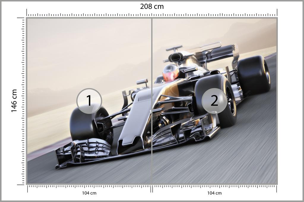 Photomural F1 Car On The Move Washable Fleece 208x146