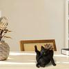 Flower Pot Grooming Cat Shape Planter Pot Stress-Relief Mood Booster Indoor Plant Pot Office Desk Decoration