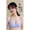 Seamless Wireless Color Contrast Soft Breathable Daily Comfort Ladies Bra