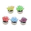 5Pcs Miniature Potted Plants 1/12 Scale Doll Mansion Accessories Realistic Mini Plant Model for Collectors Kids Imaginative Play