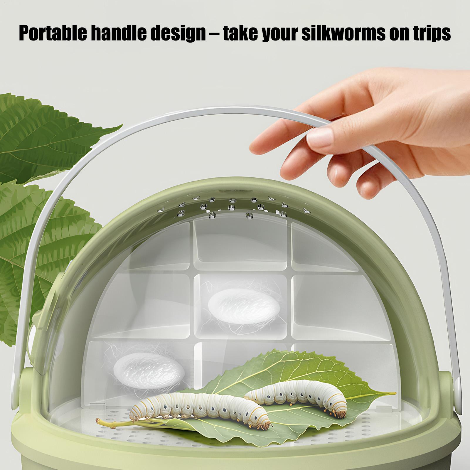 

Small Reptile Enclosure Breathable Clear Terrarium Silkworm Breeding Case With Drawer For Pet Spiders Frog Scorpion Small Animal China Mainland